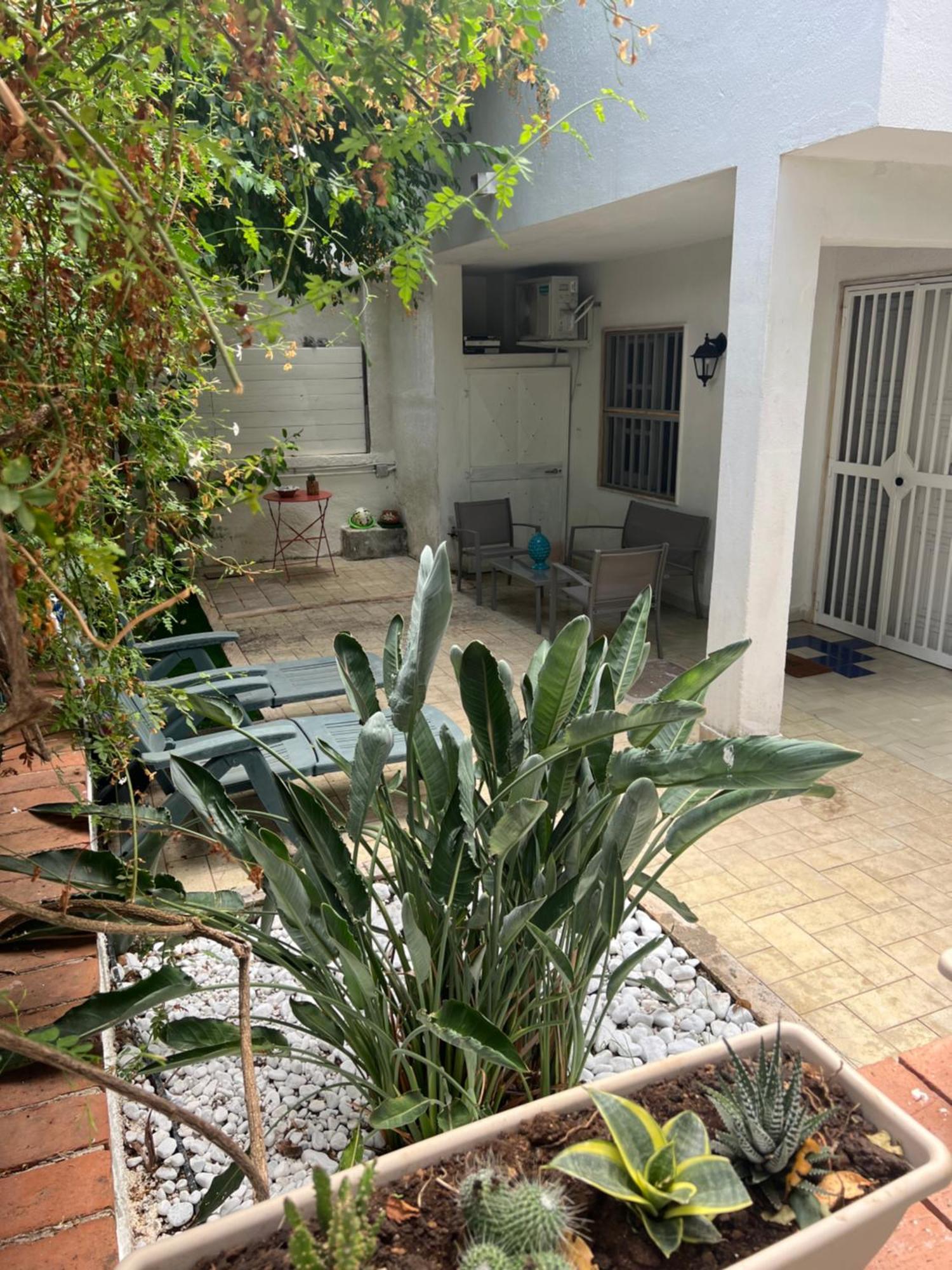 Villa Apollo Mondello Palermo Zewnętrze zdjęcie